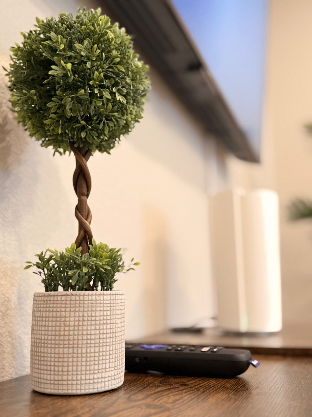 Decorative topiary on a wood shelf beside the TV